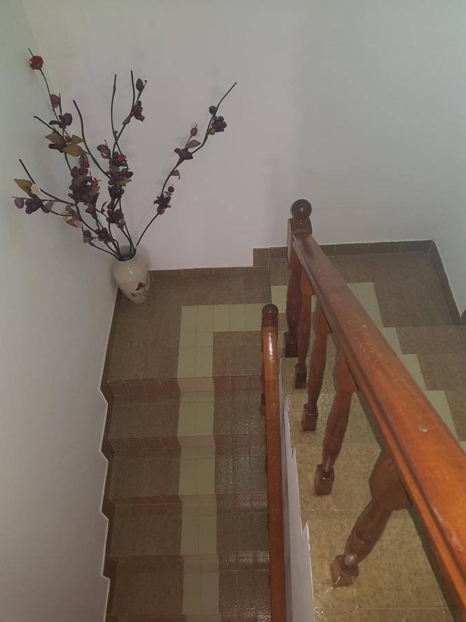 Sobe I Apartmani Marovic Petrovac Dış mekan fotoğraf