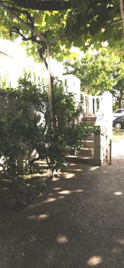 Sobe I Apartmani Marovic Petrovac Dış mekan fotoğraf