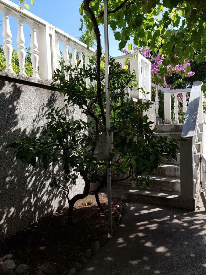 Sobe I Apartmani Marovic Petrovac Dış mekan fotoğraf